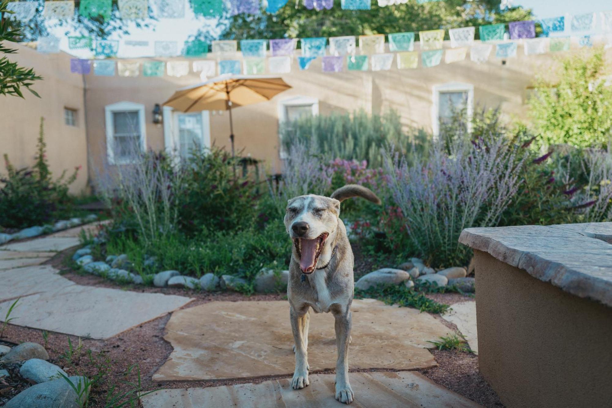 Dos Hermanas Casita 1 Downtown Courtyard Σάντα Φε Εξωτερικό φωτογραφία